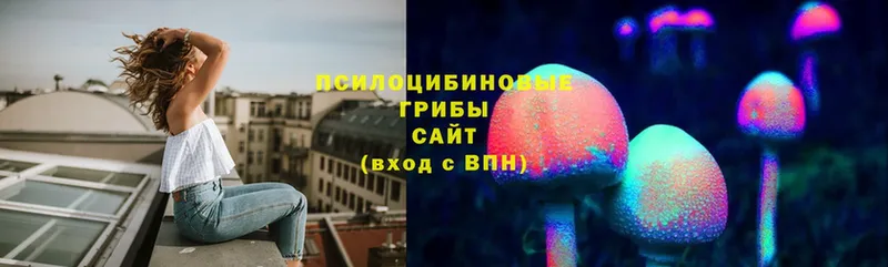 Галлюциногенные грибы Magic Shrooms  как найти   Горняк 